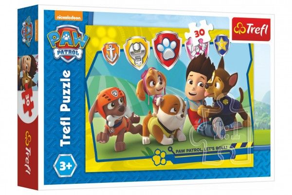 Puzzle Paw Patrol/Tlapková patrola Ryder a kamarádi 27x20cm Teddies