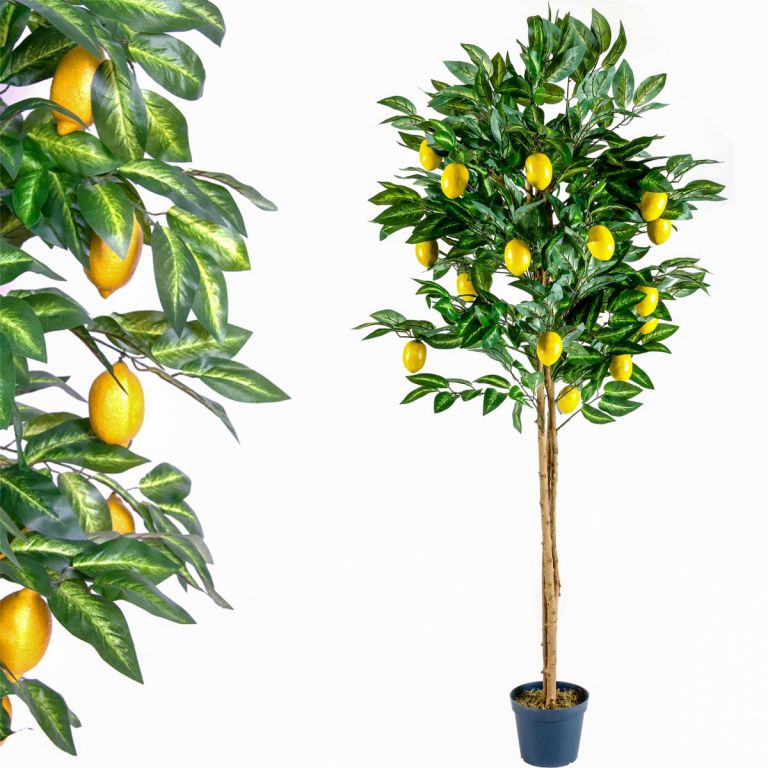 Tuin 1408 Umělá květina strom - citronovník - 184 cm PLANTASIA