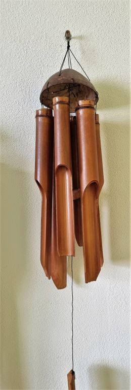 Zvonkohra bambus 40 cm