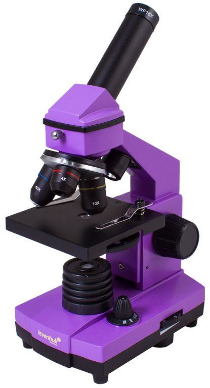 Mikroskop Levenhuk Rainbow PLUS