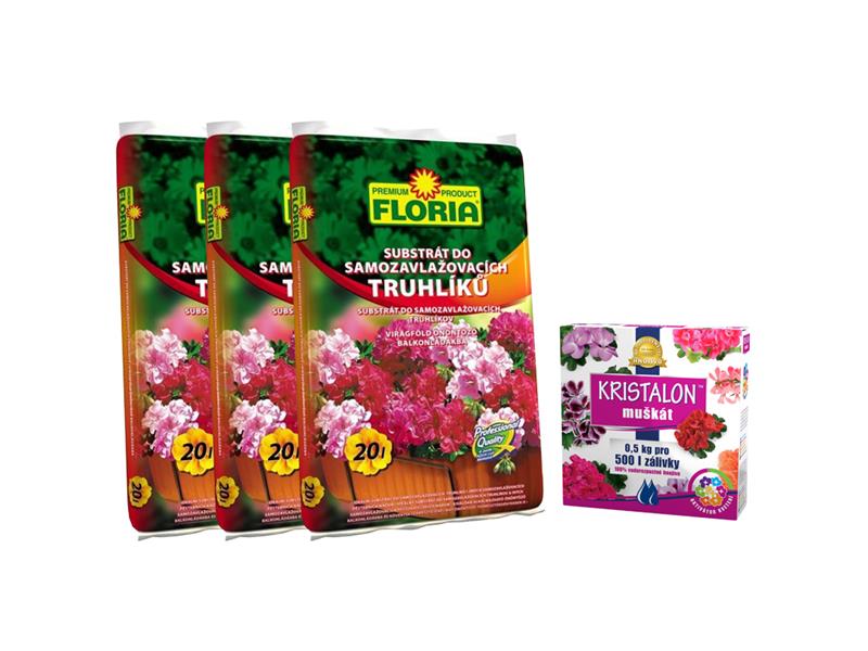 Sada na pěstování muškátů a pelargonií